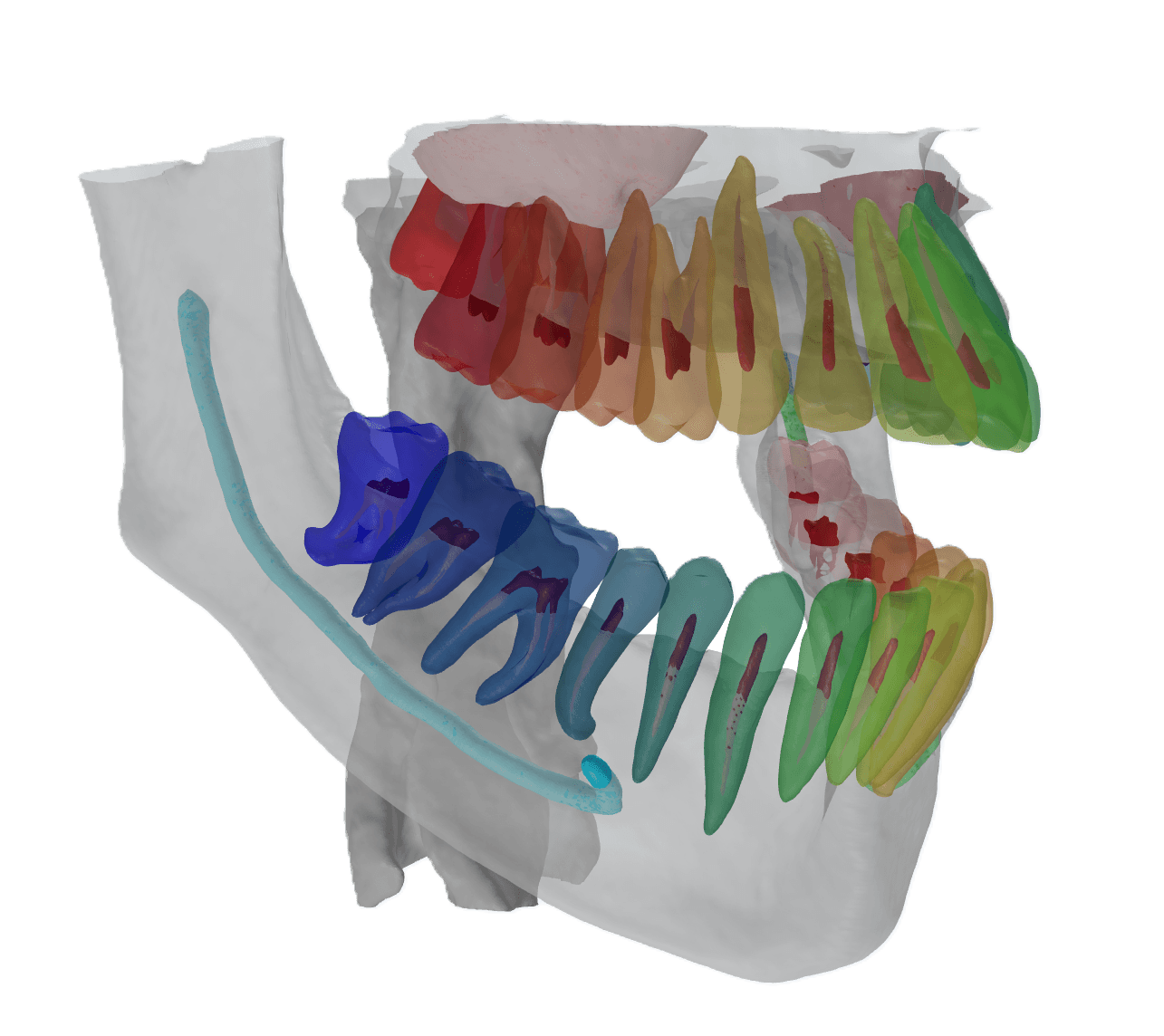 CBCT 3D Segmentation